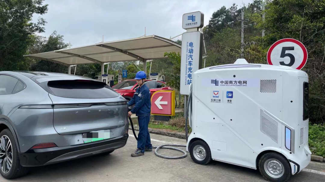 �ϸ�������